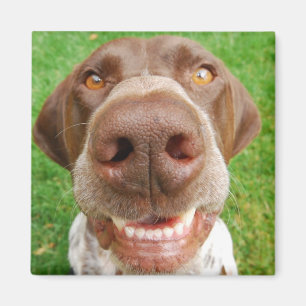 Íman Ímã do sorriso do GSP