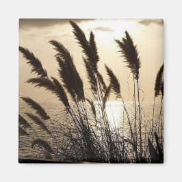 Íman Ímã do Sunset Square