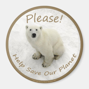 Íman Ímã do urso polar