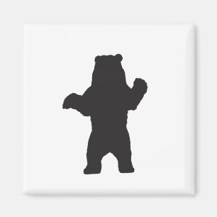 Íman Ímã do urso preto