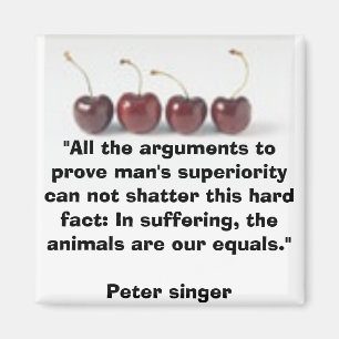 Íman Ímã do vegetariano