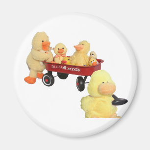 Íman Ímã do Voador do Pato