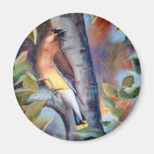 Íman Ímã do Waxwing de cedro