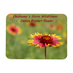Íman Ímã do Wildflower do estado de Oklahoma