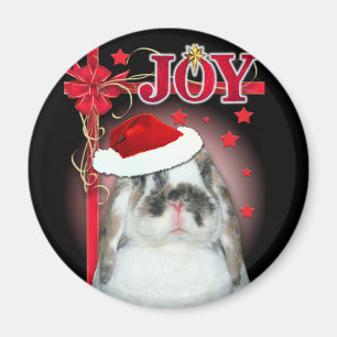 Íman Ímã do Xmas da alegria