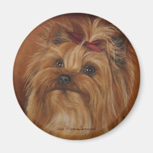 Íman Ímã do yorkshire terrier