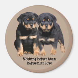 Íman Ímã dos amigos de Rottweiler