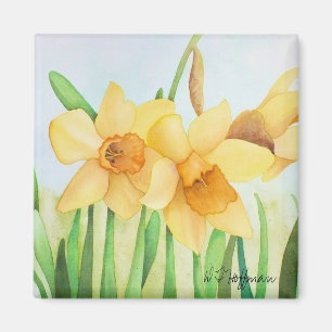 Íman Ímã dos Daffodils