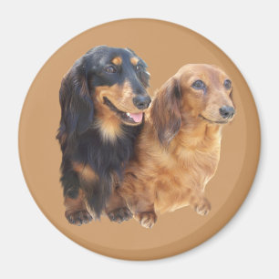 Íman Ímã dos docinhos do Dachshund