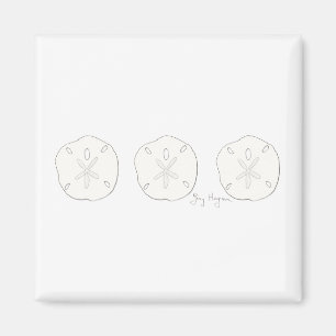 Íman Ímã dos dólares de areia