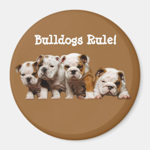 Íman Ímã dos filhotes de cachorro do buldogue