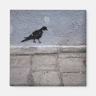 Íman Ímã dos grafites do pombo