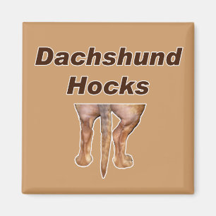 Íman Ímã dos Hocks do Dachshund