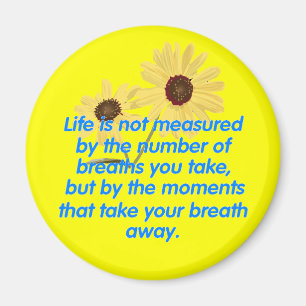 Íman Ímã dos momentos