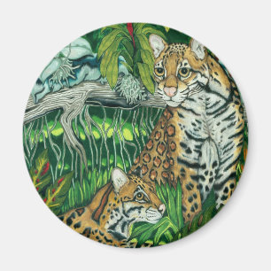 Íman Ímã dos "Ocelots"