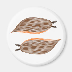 Íman Ímã dos Slugs