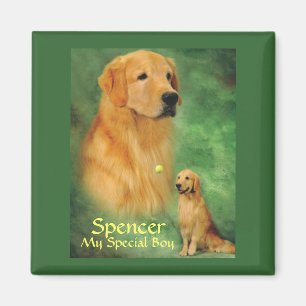 Íman Ímã dourado de Spencer