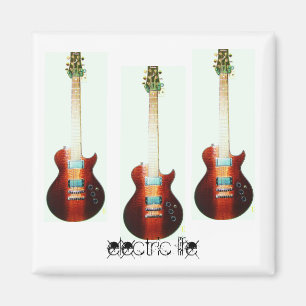 Íman ímã elétrico da vida