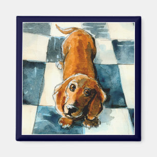 Íman Ímã engraçado do cão do Dachshund