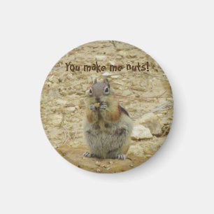 Íman Ímã engraçado do Chipmunk