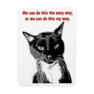 Íman Ímã engraçado do gato