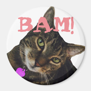 Íman Ímã engraçado do gato