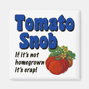 Íman Ímã engraçado do provérbio do snobe do tomate
