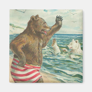 Íman Ímã engraçado do urso do vintage