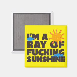 Íman Ímã Eu Sou Um Raio de Sol Absurdo Divertido