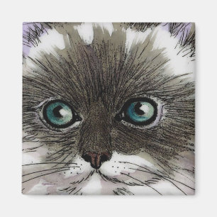 Íman Ímã Eyed azul do gato