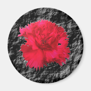 Íman Ímã Fantasia Floral Cravo Vermelho