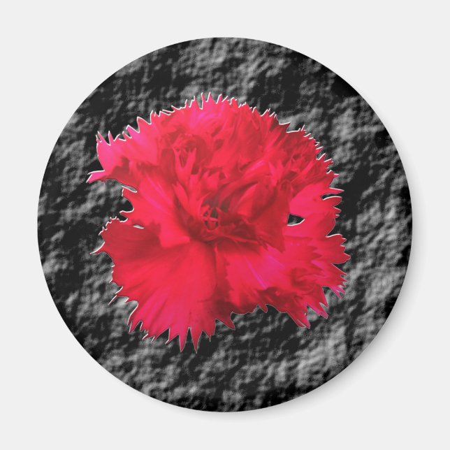 Íman Ímã Fantasia Floral Cravo Vermelho (Frente)