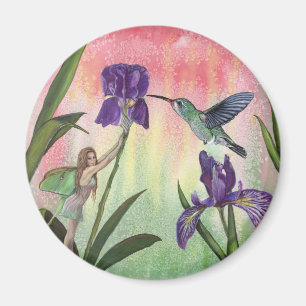 Íman Ímã feericamente da íris do colibri