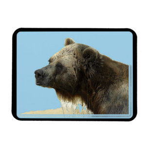 Íman Ímã Flexível Amante de Animais Silvestres Urso Cin