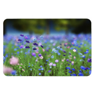 Íman Ímã flexível azul do Cornflower