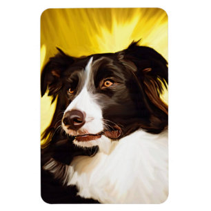 Íman Ímã flexível de border collie