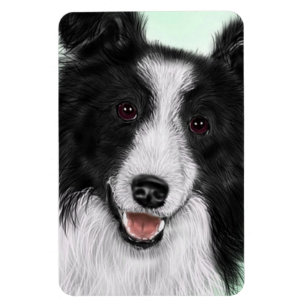 Íman Ímã flexível de border collie