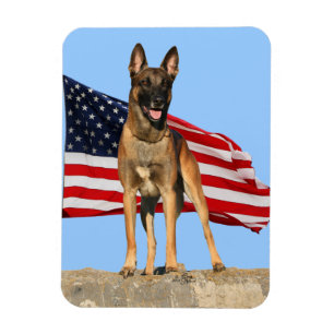 Íman Ímã flexível de Malinois e de bandeira