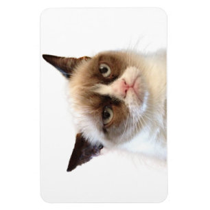 Íman Ímã flexível do gato mal-humorado