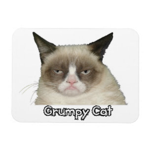 Íman Ímã flexível mal-humorado do gato 3x4
