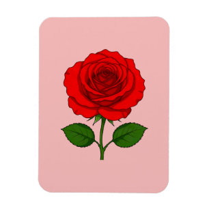 Íman Ímã Flexível Rosa Vermelha