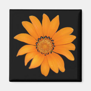 Íman Ímã floral alaranjado