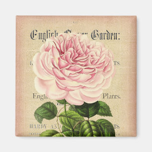 Íman Ímã floral feminino do vintage cor-de-rosa da fl