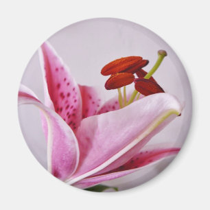 Íman Ímã floral irlandês