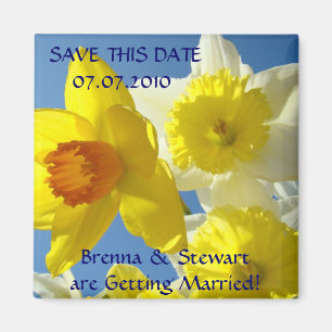 Íman Ímã Flores de Narciso na Primavera Salve esta Data