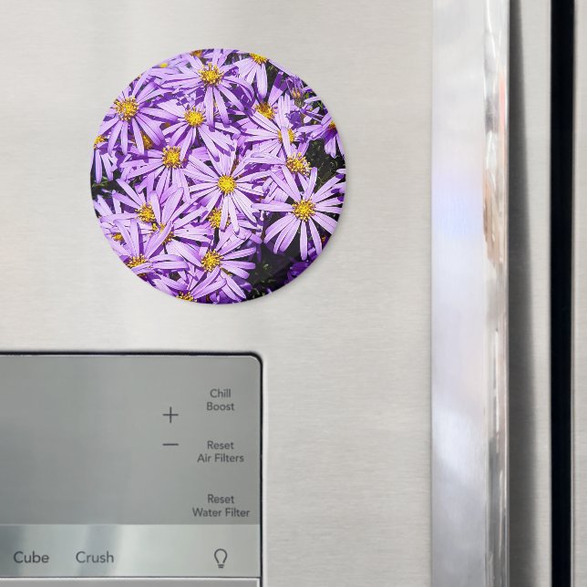 Íman Ímã - flores roxas (In Situ (Fridge))