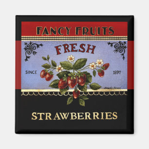 Íman Ímã fresco do vintage das morangos