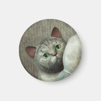 Íman Ímã Gato Cinza 1