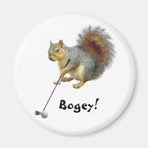 Íman Ímã Golfing do esquilo