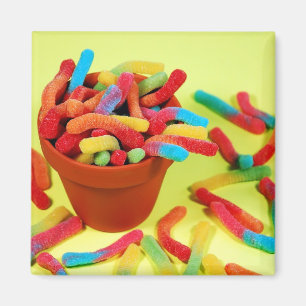 Íman Ímã gomoso colorido dos doces do sem-fim